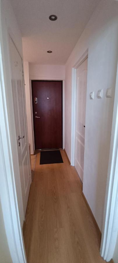 Adeles Apartamentai Panevezyje Panevėžys Buitenkant foto