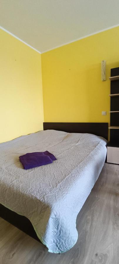 Adeles Apartamentai Panevezyje Panevėžys Buitenkant foto