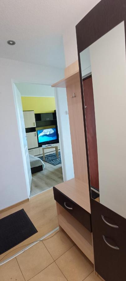 Adeles Apartamentai Panevezyje Panevėžys Buitenkant foto